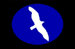 Skyland Tours Logo