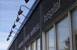 Vancouver Animal Wellness Hospital Logo