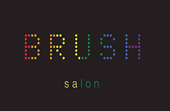 Brush Salon Logo