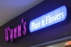 Wynn's Plant and Flowers Logo